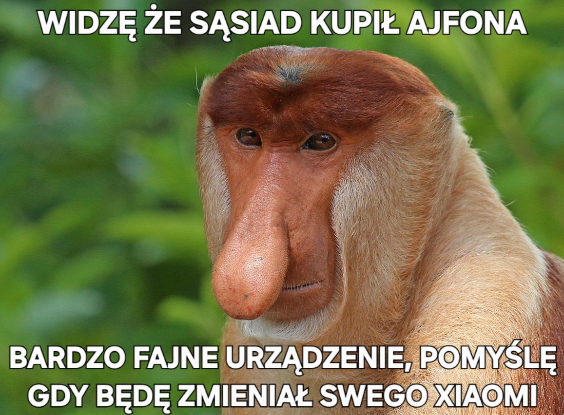Dzieło sztuki #15786