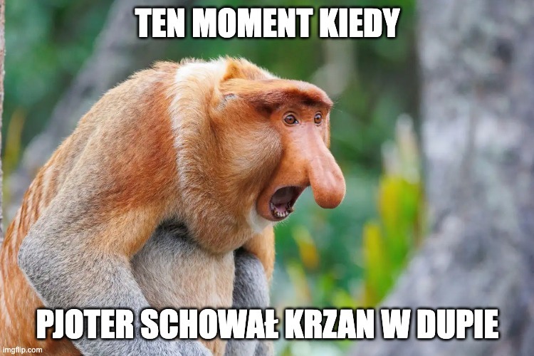 Dzieło sztuki #15809