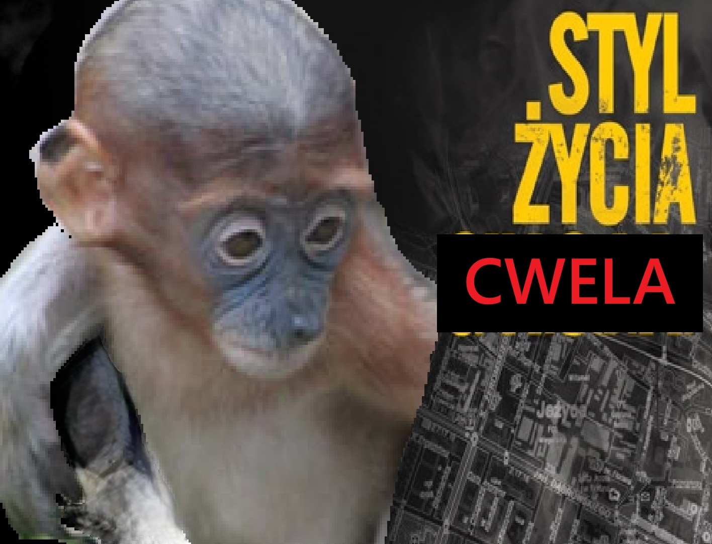 Dzieło sztuki #15819