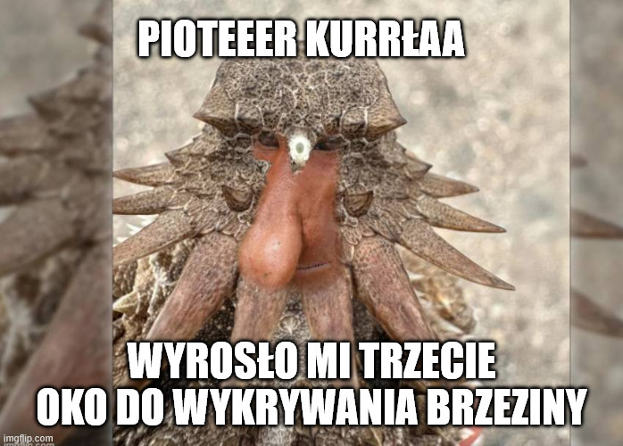 Dzieło sztuki #15826