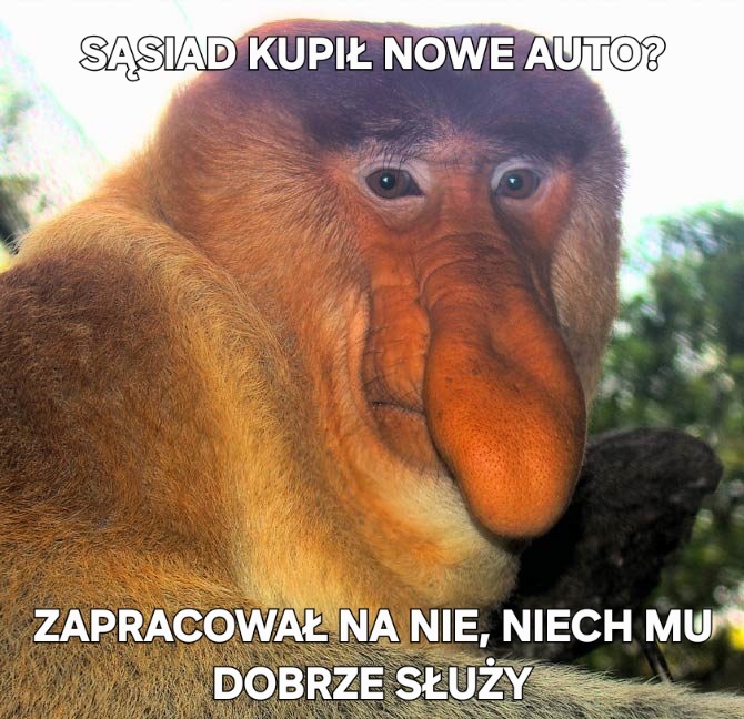 Dzieło sztuki #15841