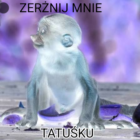 Dzieło sztuki #15845