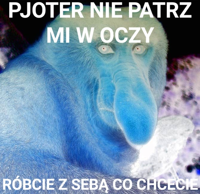 Dzieło sztuki #15848