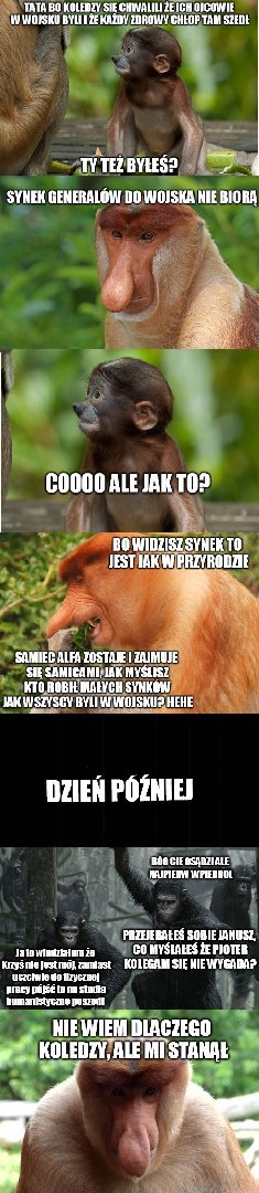 Dzieło sztuki #15872