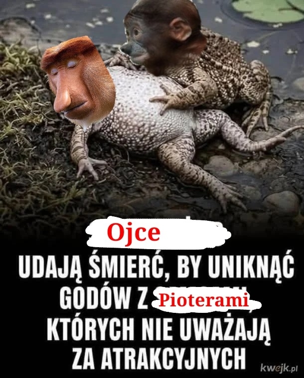 Dzieło sztuki #15881