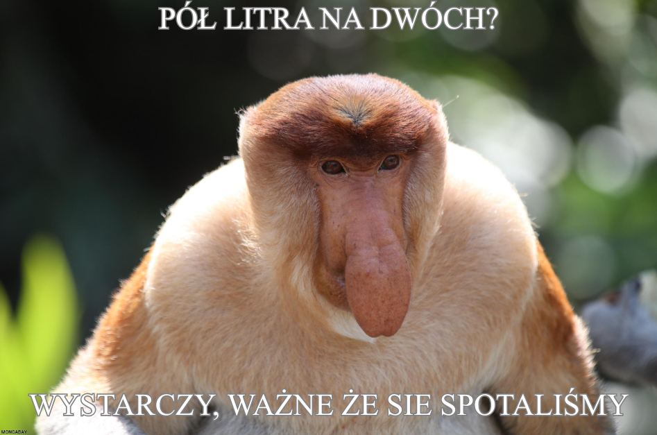 Dzieło sztuki #15883
