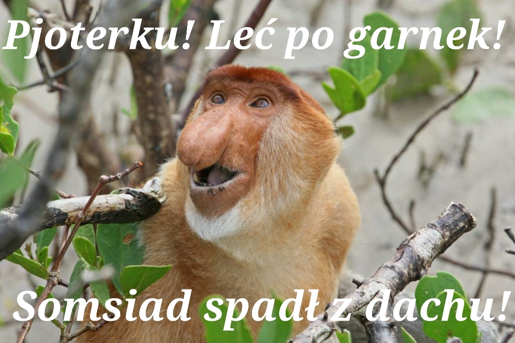 Dzieło sztuki #15899