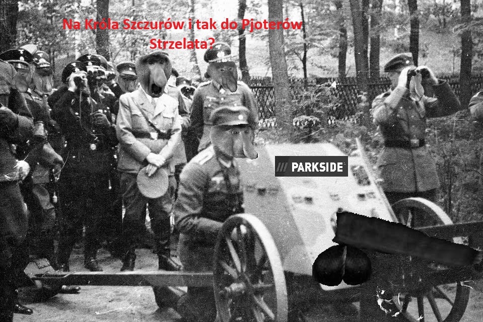 Dzieło sztuki #15904