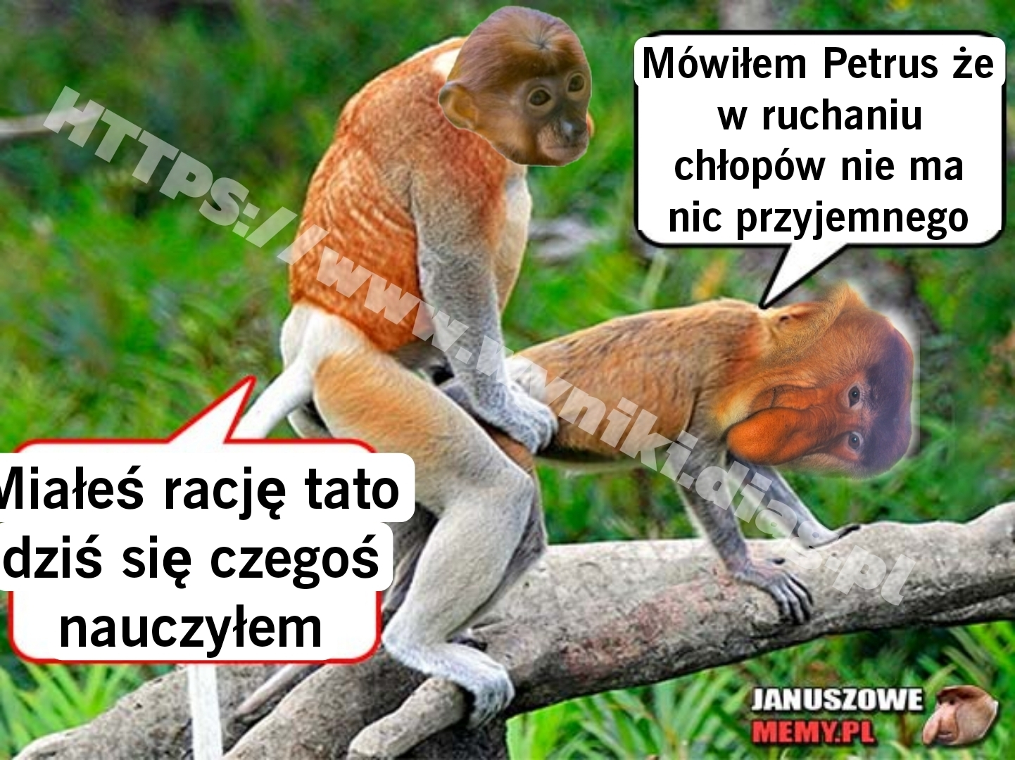 Dzieło sztuki #15917