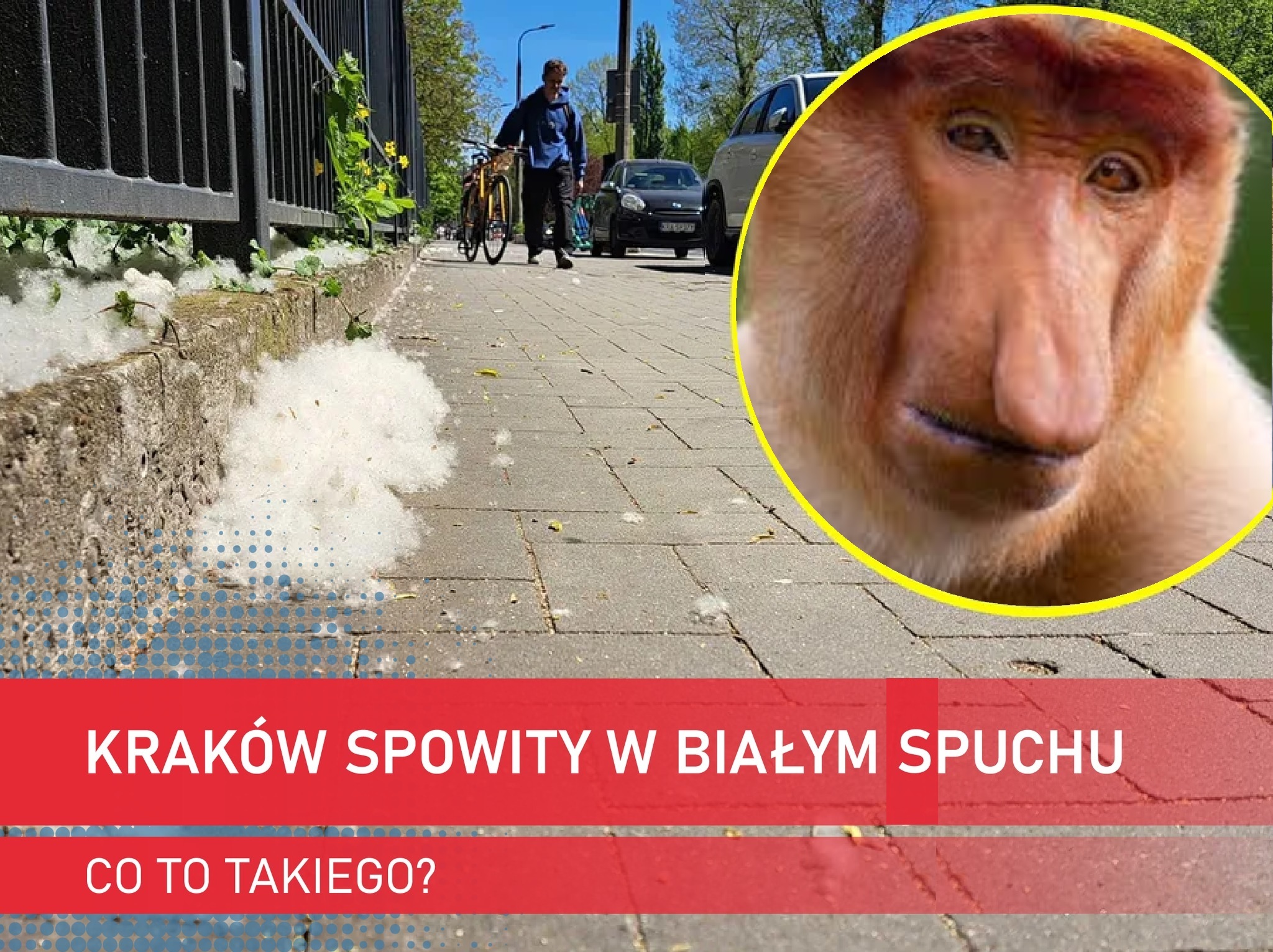 Dzieło sztuki #15918