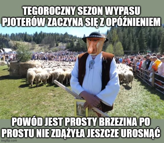 Dzieło sztuki #15928
