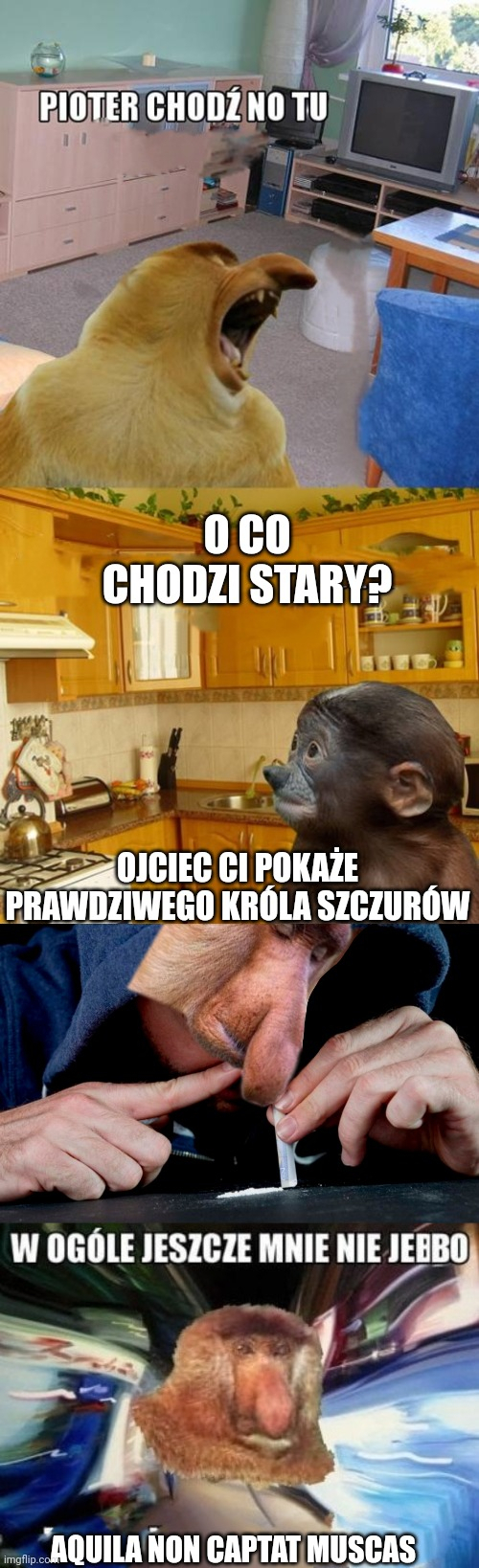 Dzieło sztuki #15959