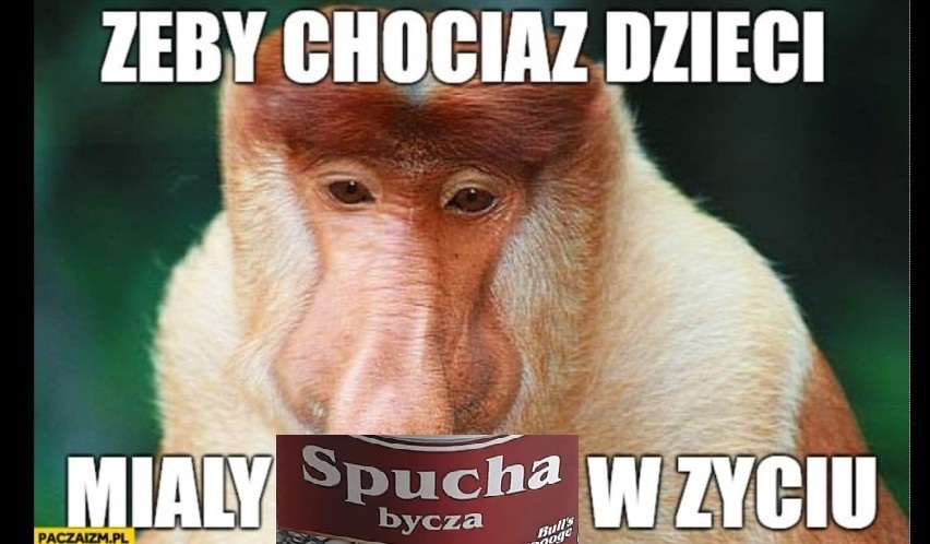 Dzieło sztuki #15961