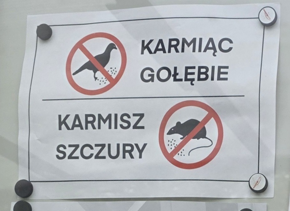 Dzieło sztuki #15964