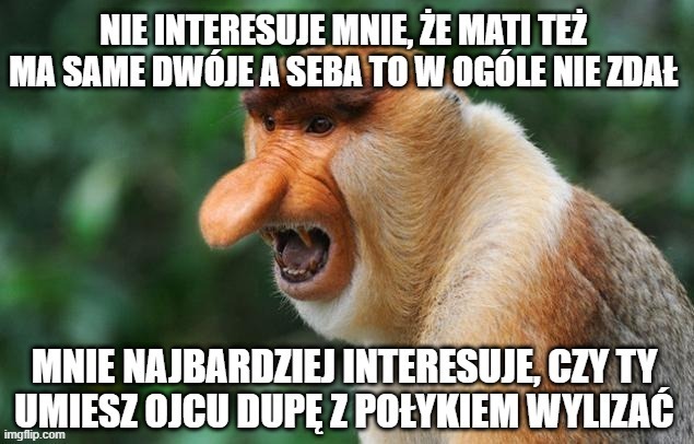 Dzieło sztuki #15994