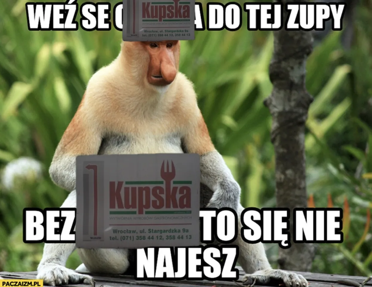 Dzieło sztuki #15999