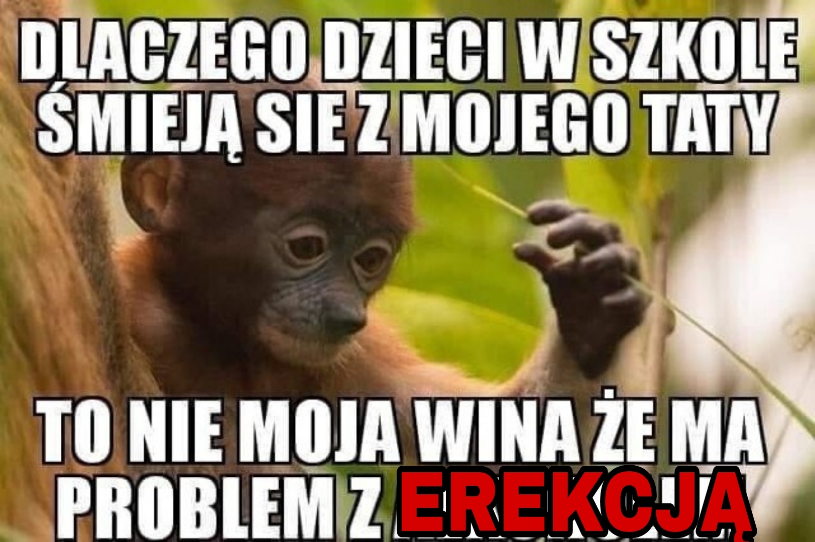 Dzieło sztuki #16007