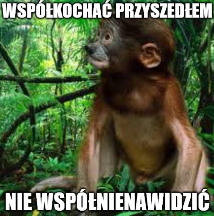 Dzieło sztuki #16019