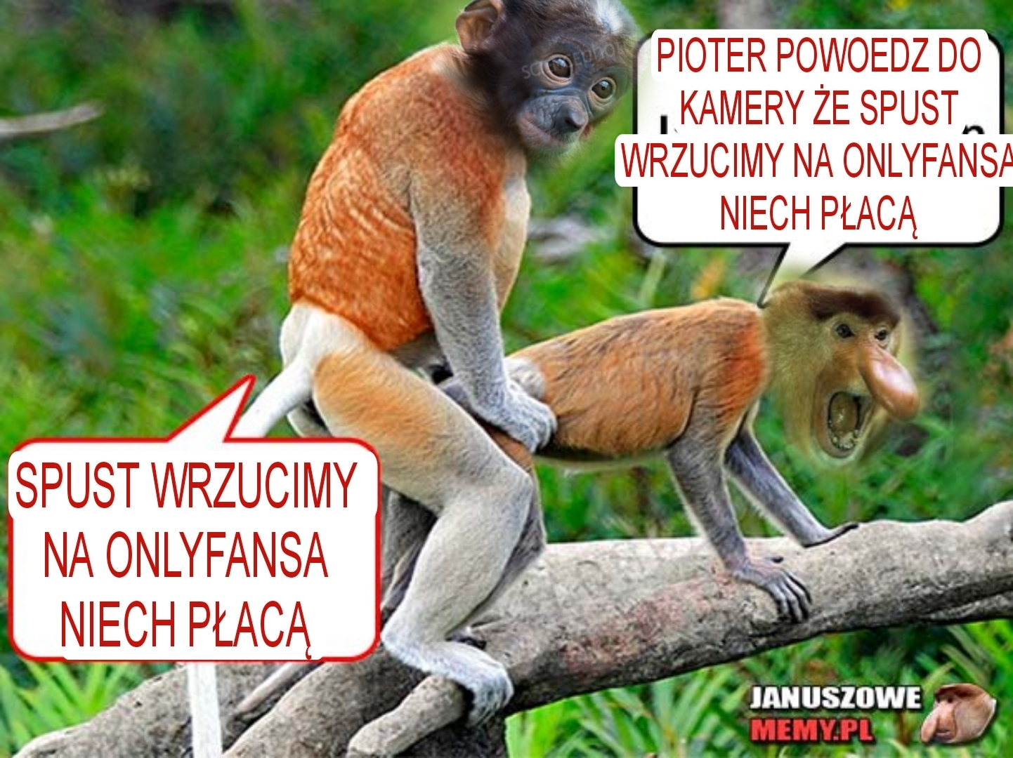 Dzieło sztuki #16021