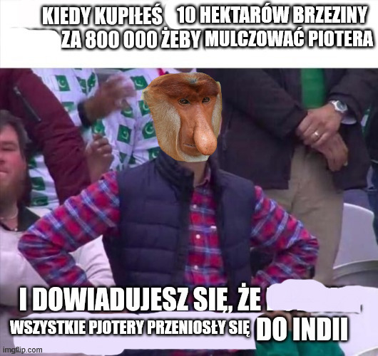 Dzieło sztuki #16048