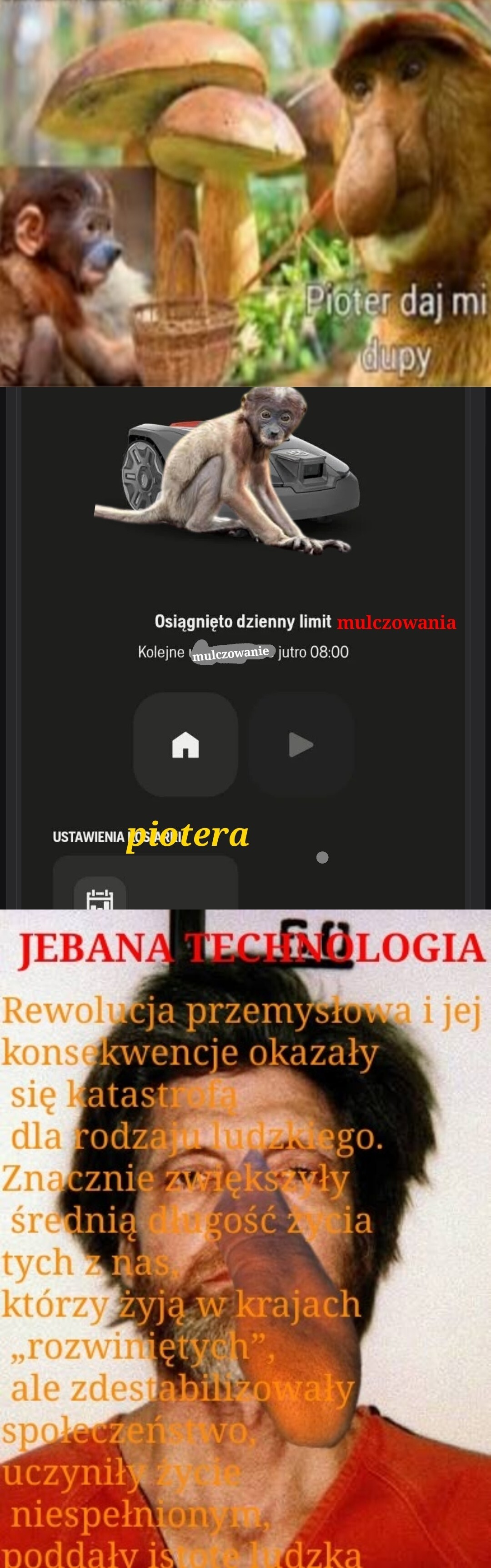 Dzieło sztuki #16049