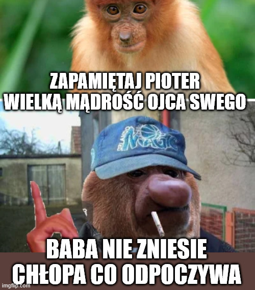 Dzieło sztuki #16053