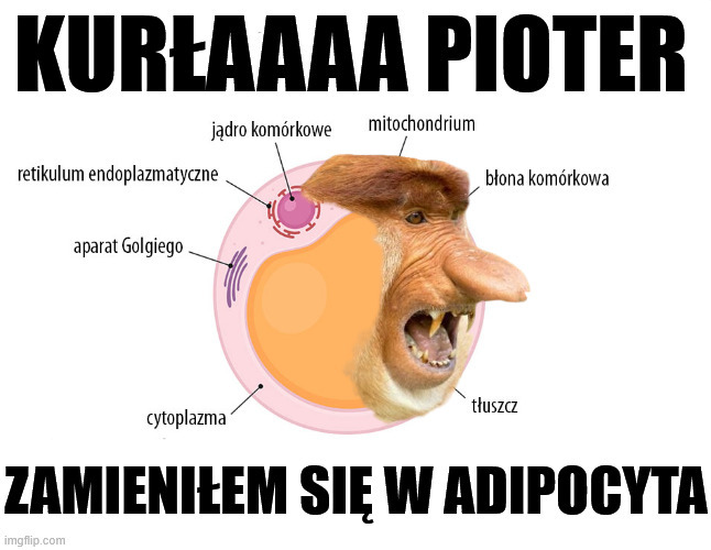 Dzieło sztuki #16055