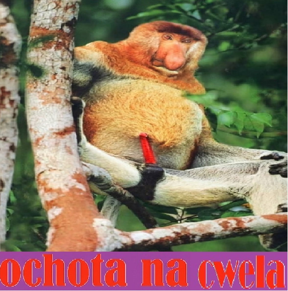 Dzieło sztuki #16087