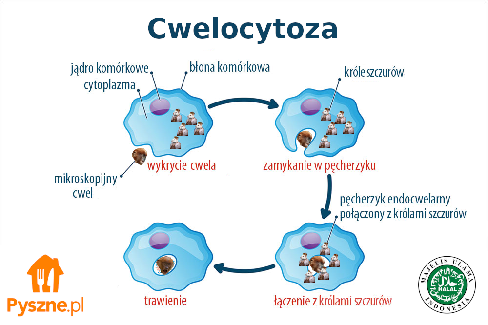 Dzieło sztuki #16097