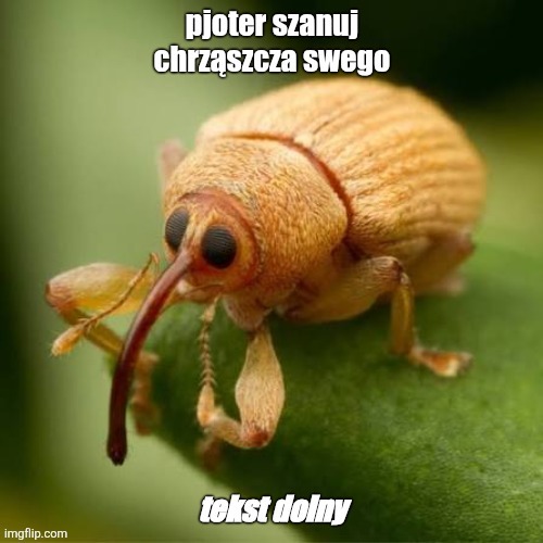 Dzieło sztuki #16105