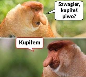 Dzieło sztuki #16107