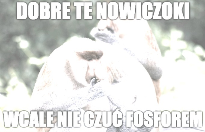 Dzieło sztuki #16110