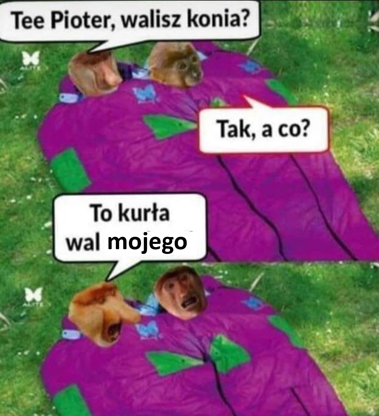 Dzieło sztuki #16113