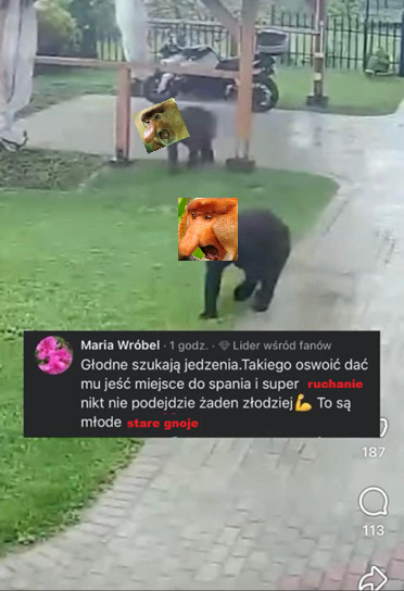 Dzieło sztuki #16135