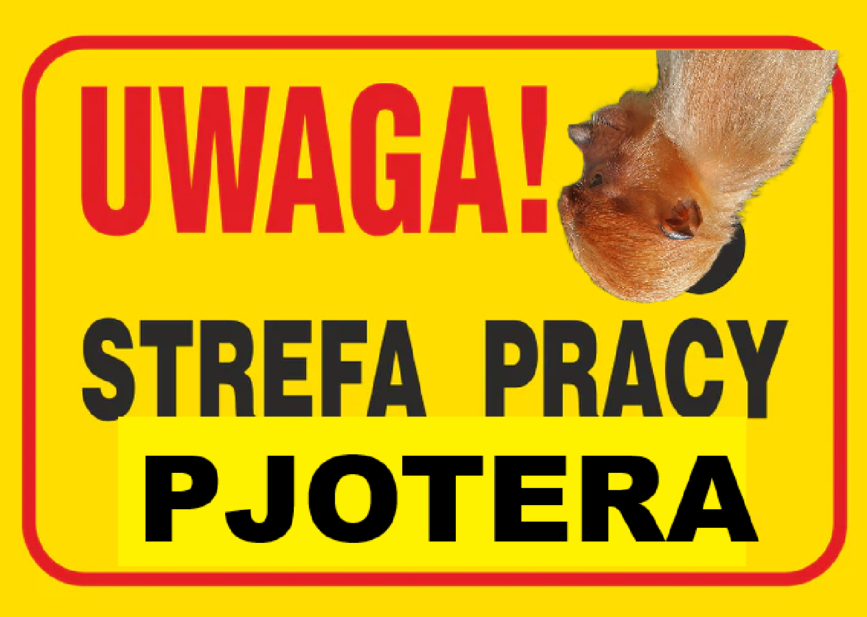 Dzieło sztuki #16137