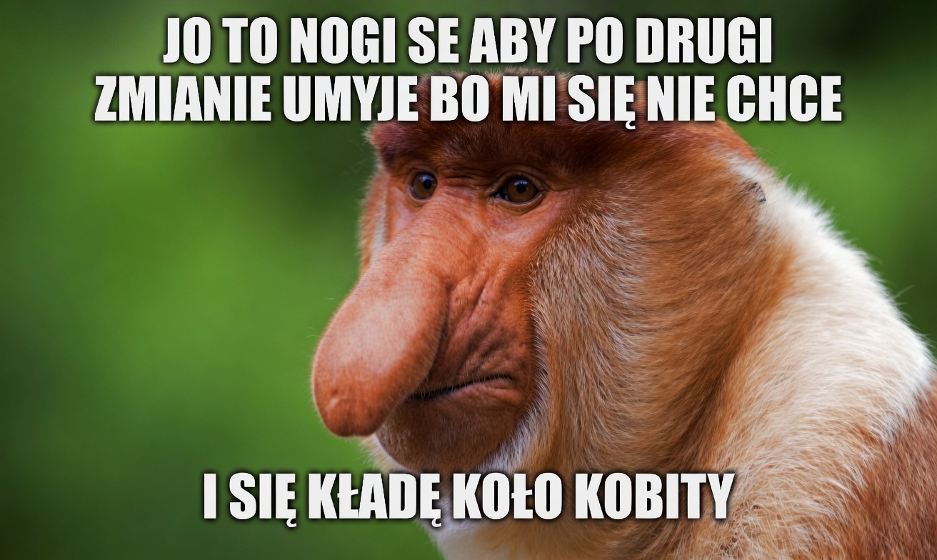 Dzieło sztuki #16151