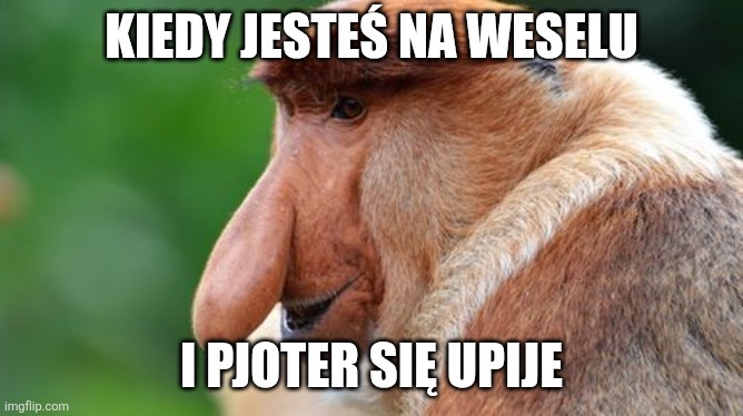 Dzieło sztuki #16161