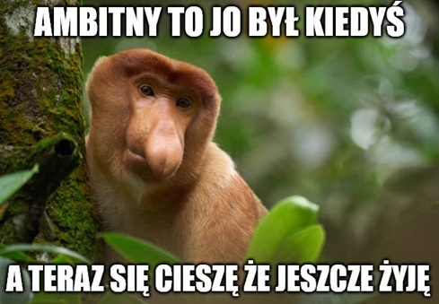 Dzieło sztuki #16179