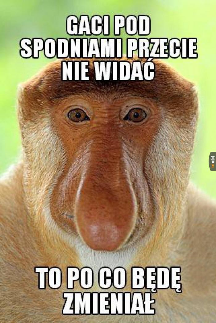 Dzieło sztuki #16213