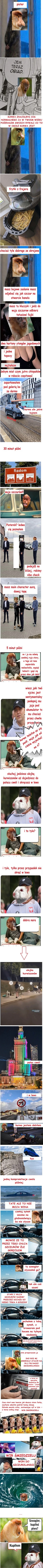 Dzieło sztuki #16224