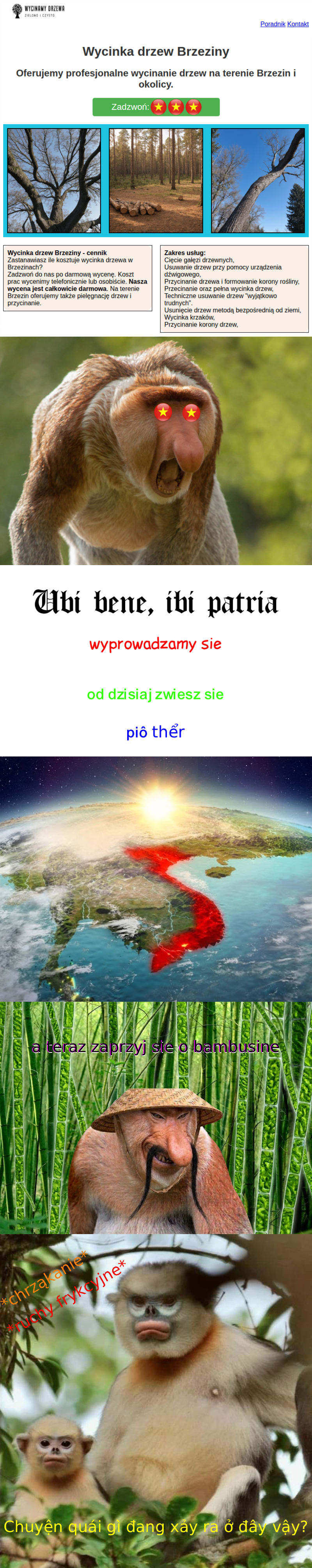 Dzieło sztuki #16225