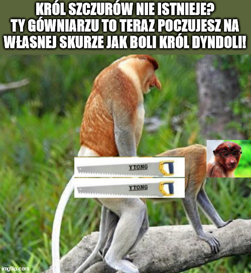 Dzieło sztuki #16263