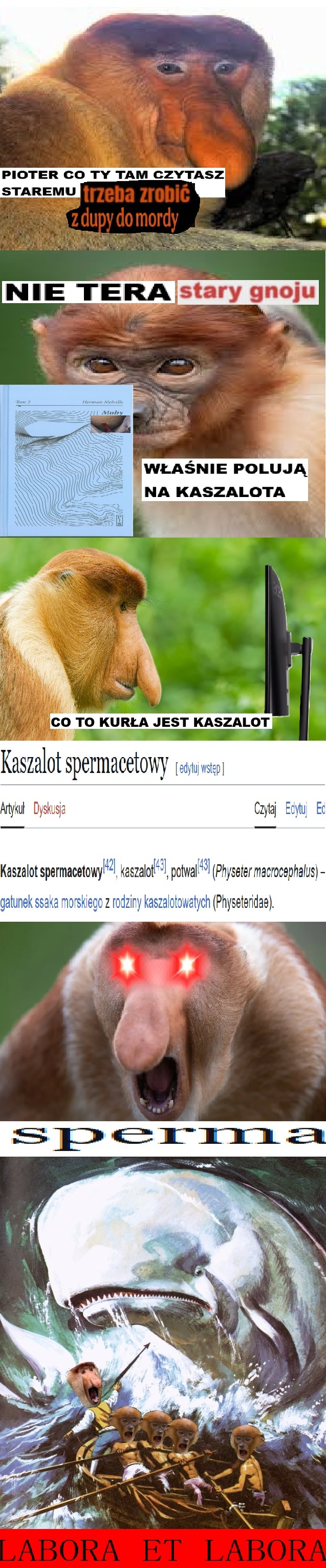 Dzieło sztuki #16264