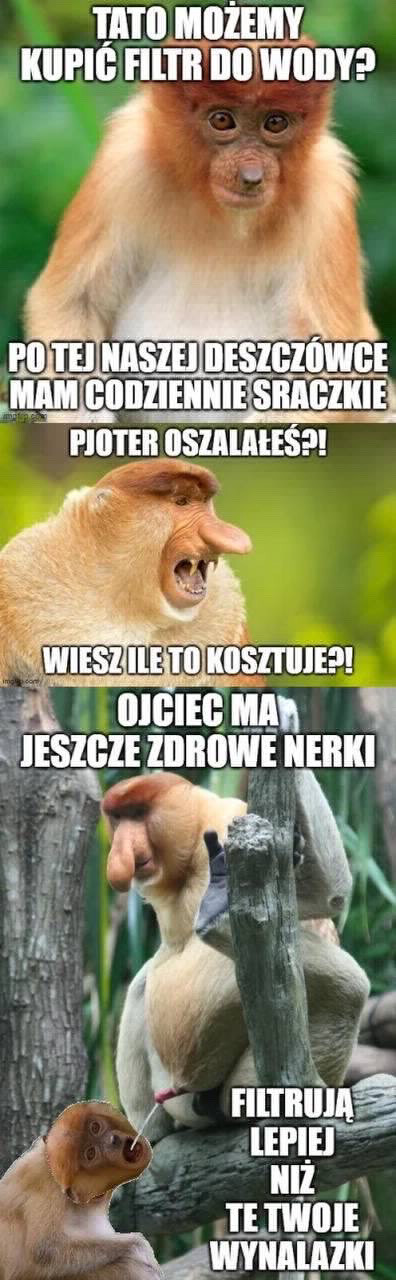 Dzieło sztuki #16329