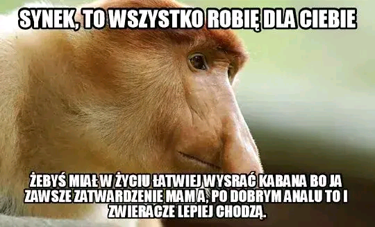 Dzieło sztuki #16338