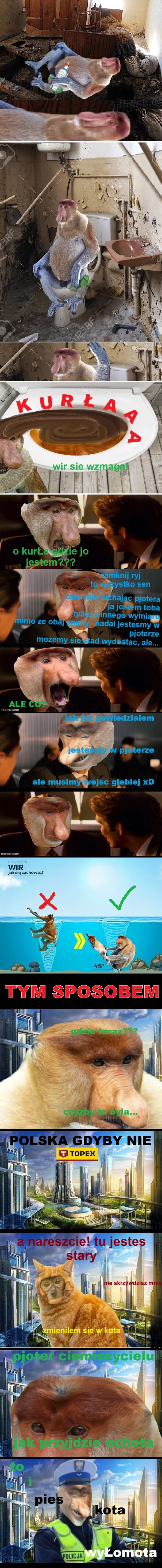 Dzieło sztuki #16343