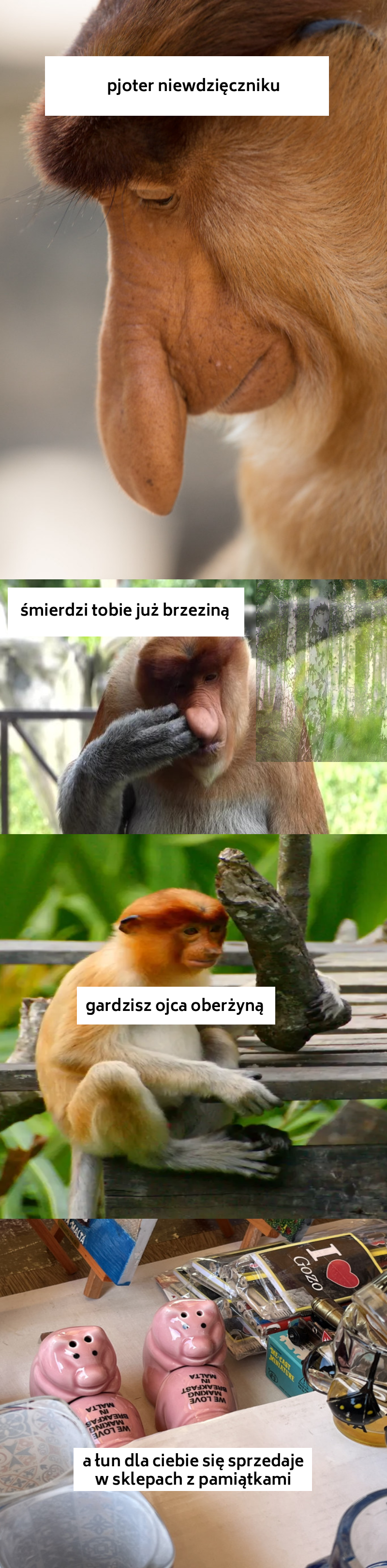 Dzieło sztuki #16376
