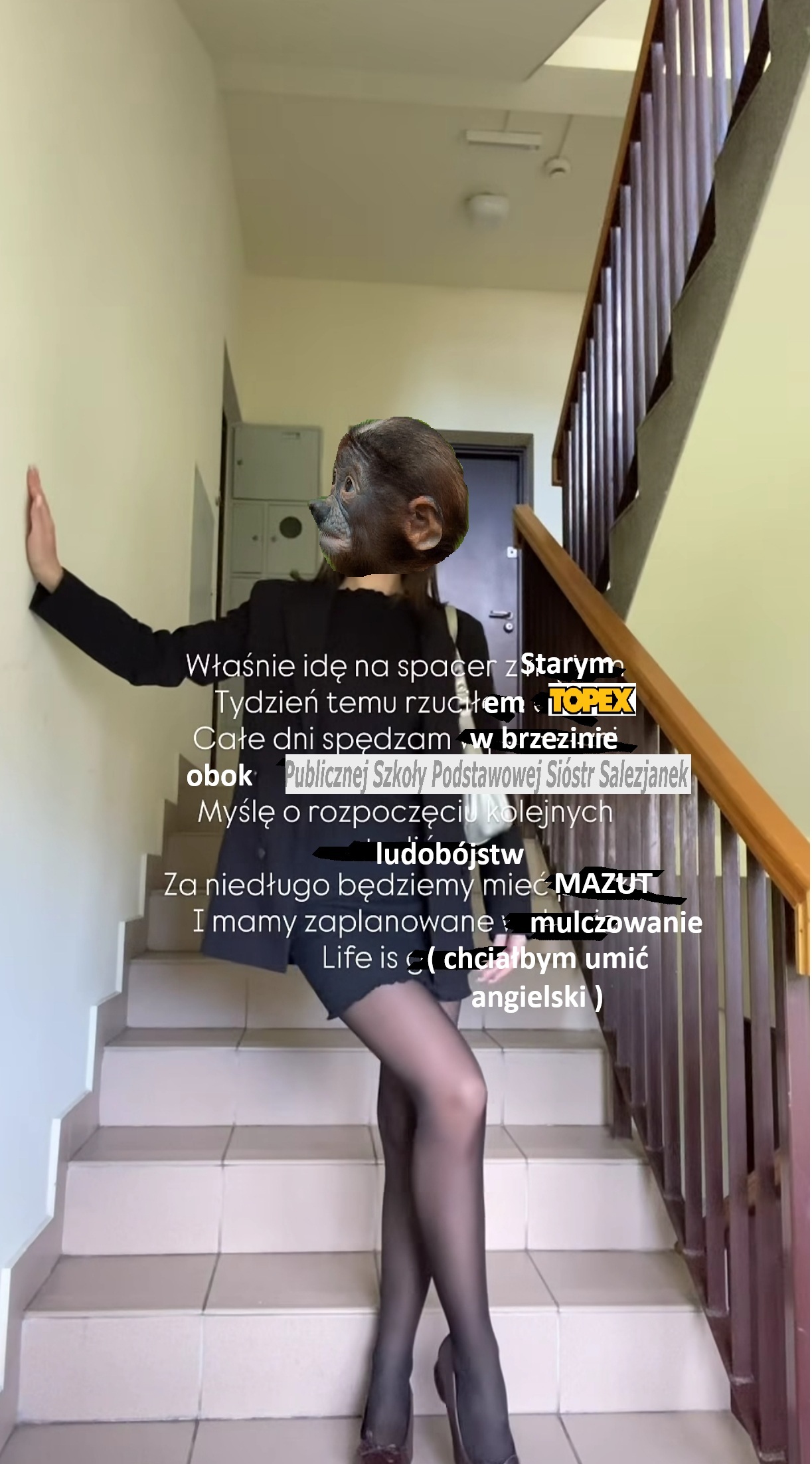 Dzieło sztuki #16385