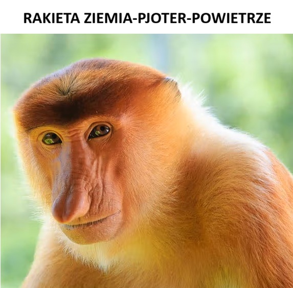 Dzieło sztuki #16440