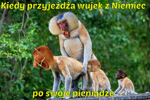 Dzieło sztuki #16452